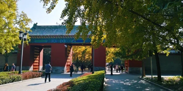 地坛公园。午后闪游是最近喜欢做的事，北京还是继续路过