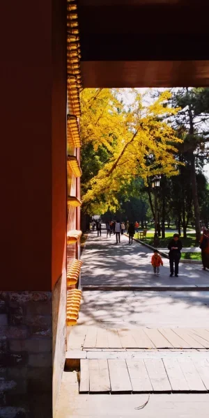 地坛公园。