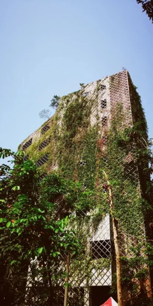 深圳贝景村，这是要拆迁么？