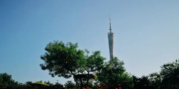 小蛮腰
