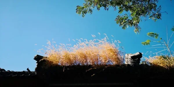 南长街。安静的气氛
