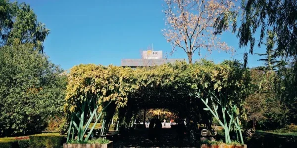 建国门绿化广场，阳光很好啊，可惜没拍出来