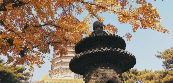 八大处