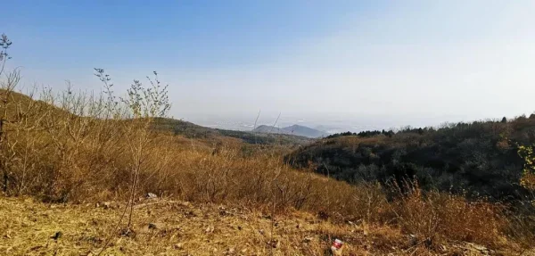 西山。叶子已经快掉没了，红叶当然欠奉