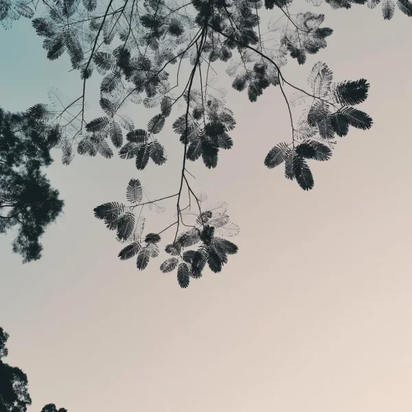 阴天的黄昏