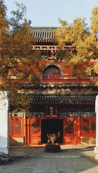 智化寺。黑色的琉璃瓦屋顶