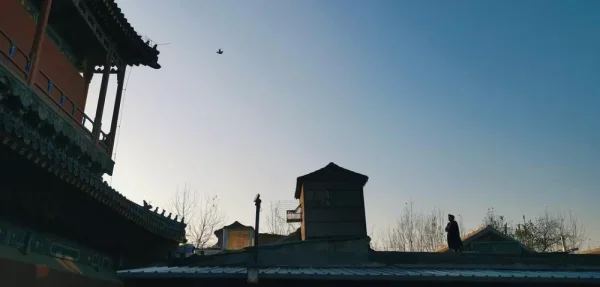 智化寺。仰望晴空的鸽子