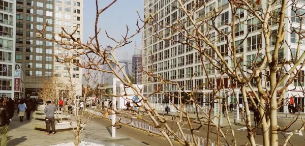 建外SOHO。突然间感觉到冬天来了