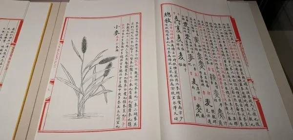 国家典籍博物馆。负一层的永乐大典展厅