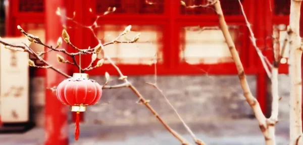 长椿寺