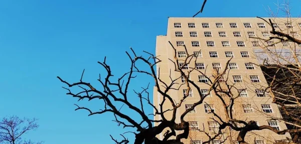 中央民族大学