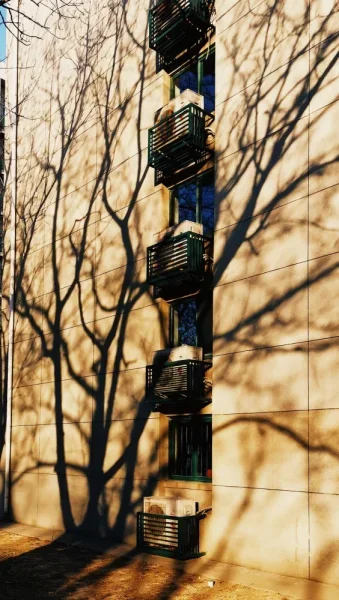 人民大学