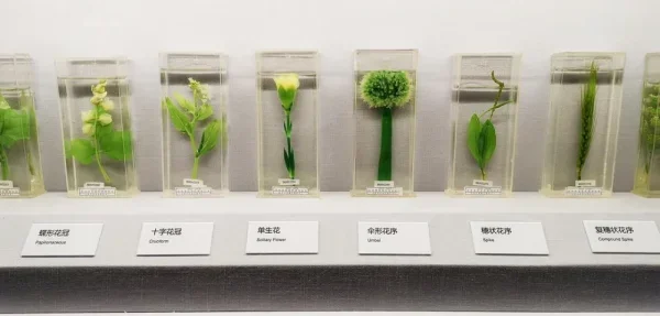 自然博物馆
