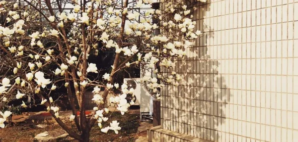 北京服装学院