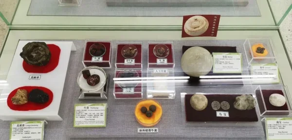 北京中医药大学中医药博物馆