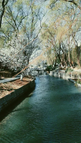 春天的昌蒲河公园