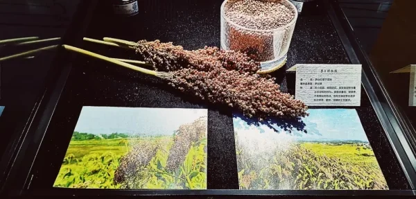 茅台博物馆