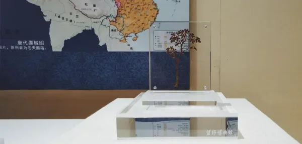 来自望野博物馆的唐朝文物展，原来深圳还有这样一家神奇的博物馆。