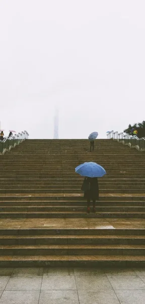来广州就没晴过