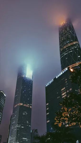 潮湿的夜本是常态