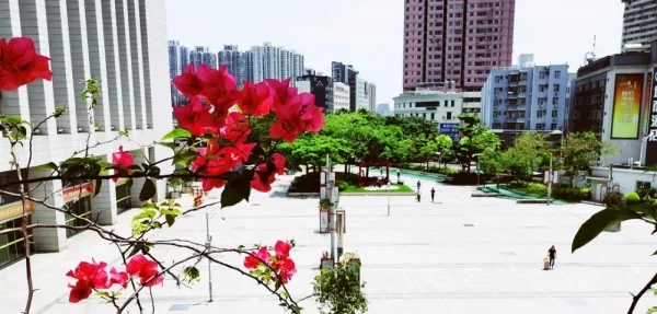 深圳东站。终于出了个太阳