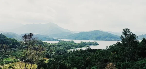淘金山绿道