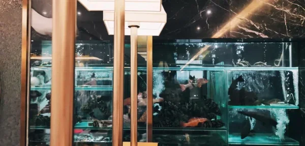 看似生猛海鲜，其实只是日常喝早茶的地方