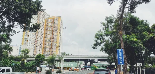 再回广东的每个周末都有种蹉跎的感觉