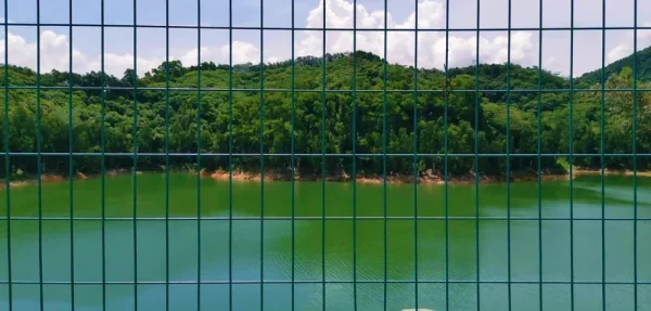 小羊台下的小水库