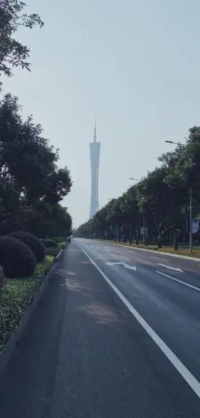 二沙岛的清晨