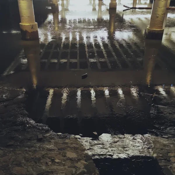 暧昧的晚上