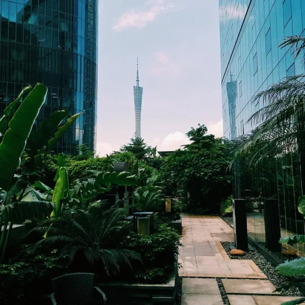 又一个拍摄广州塔的角度