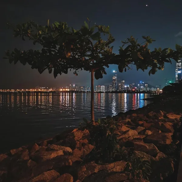 深圳湾公园。有故事的夜晚