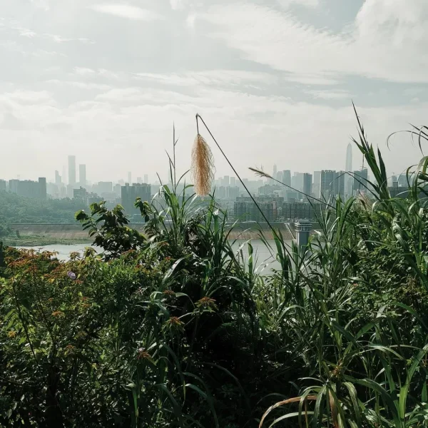 梅林绿道