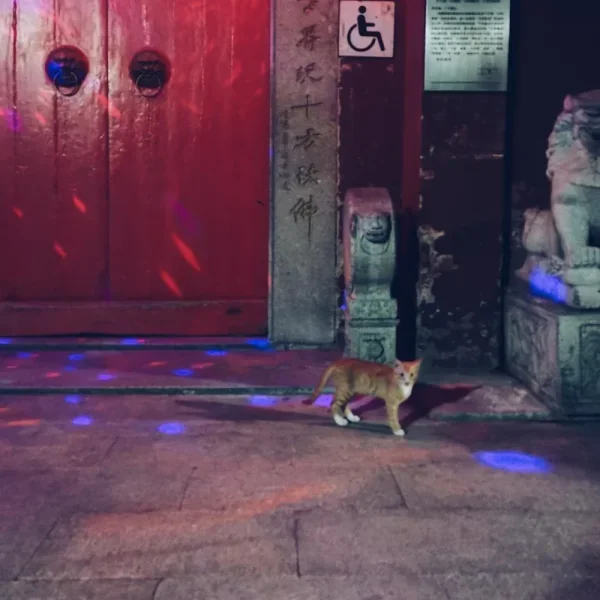华林禅寺