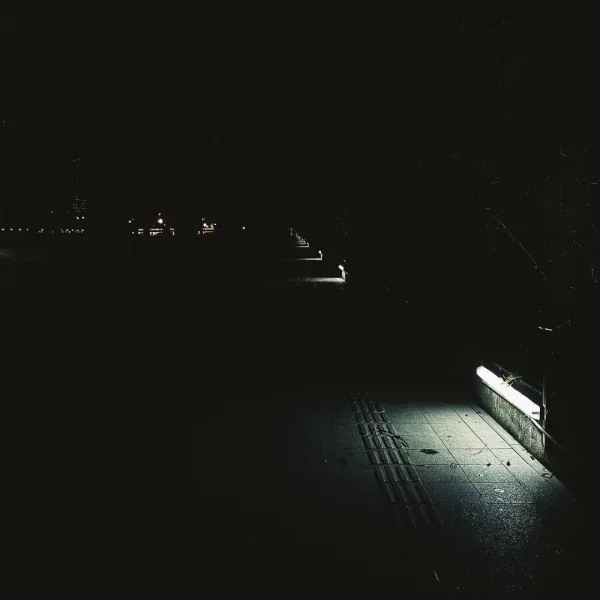 二沙岛