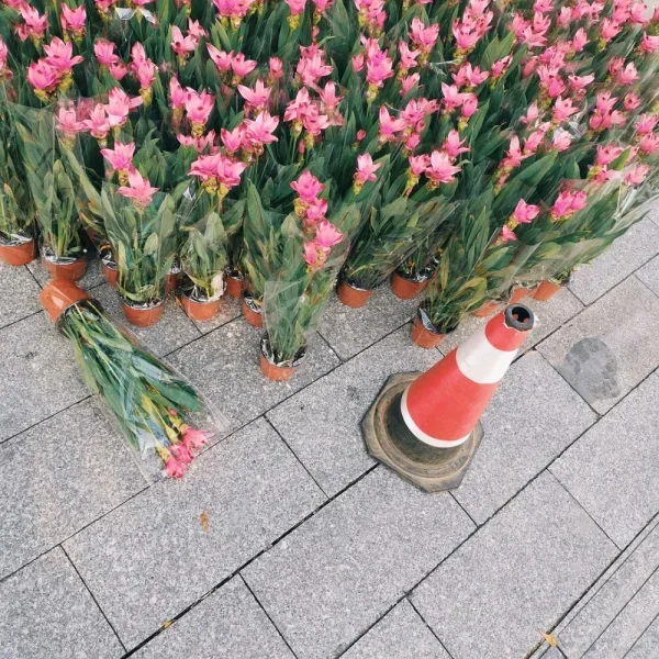 又有一段时间没晨跑