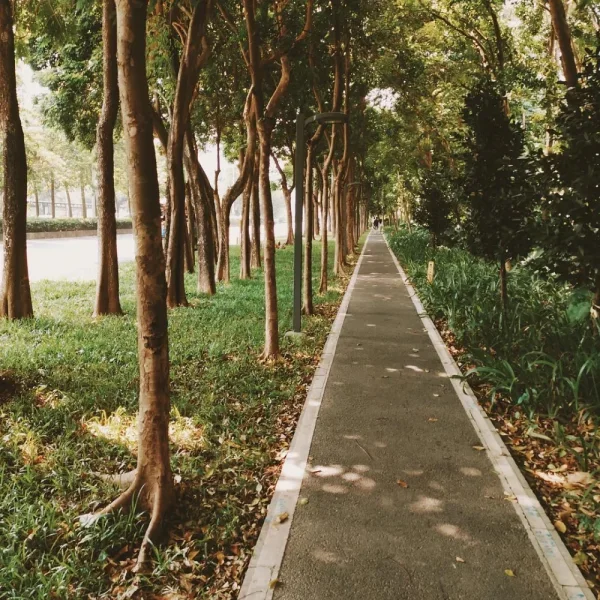 白石路