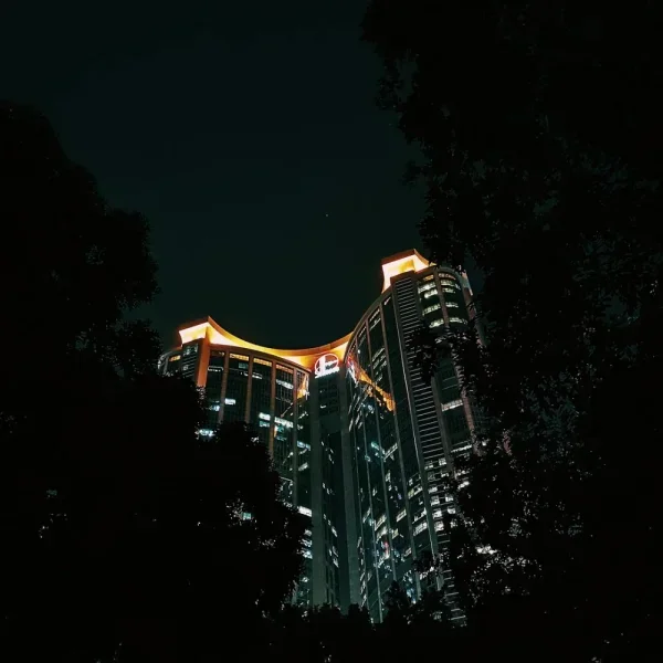 林和西