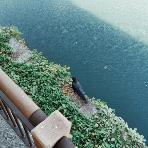 大阪城公园