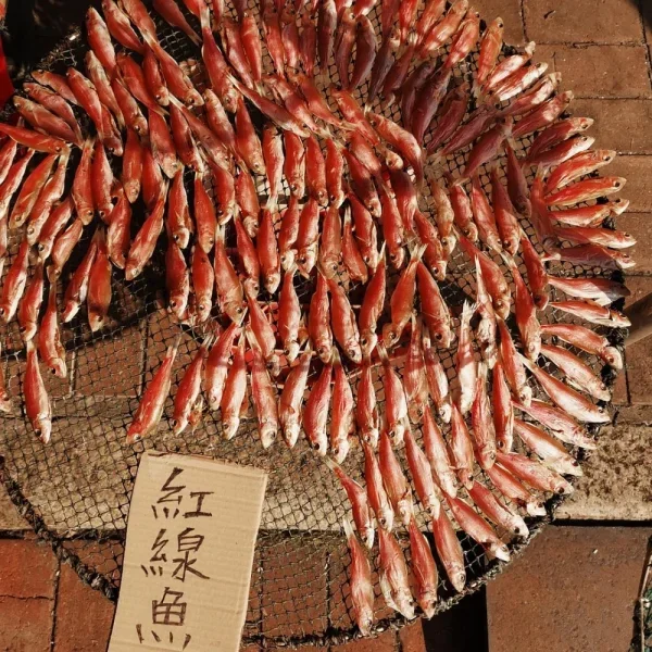 长洲岛