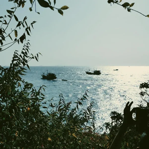 长洲岛