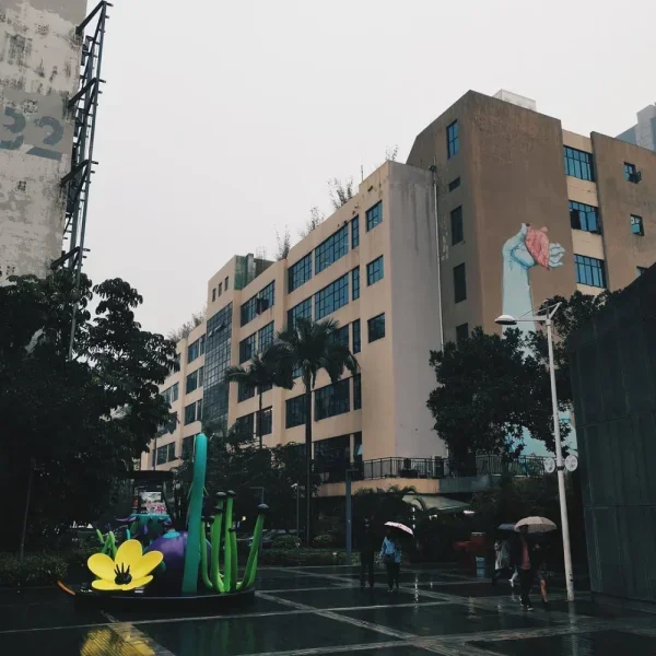 华侨城OCT