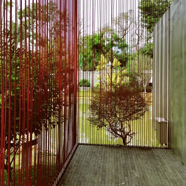 香蜜公园