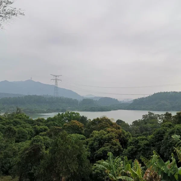 淘金山绿道