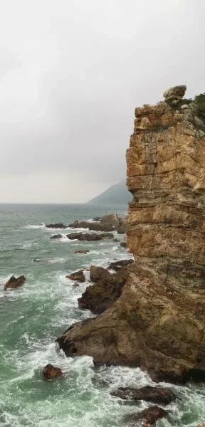 杨梅坑鹿咀山庄