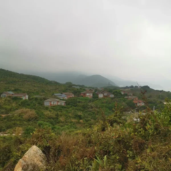 杨梅坑