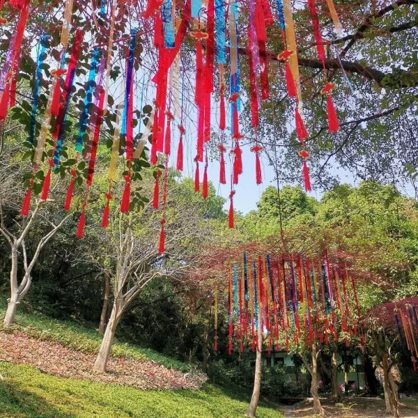 白云山云台花园，还是第一次进来