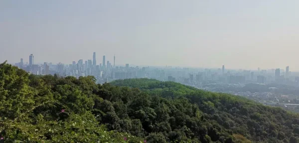 白山的这个view还可以，就是空气不好