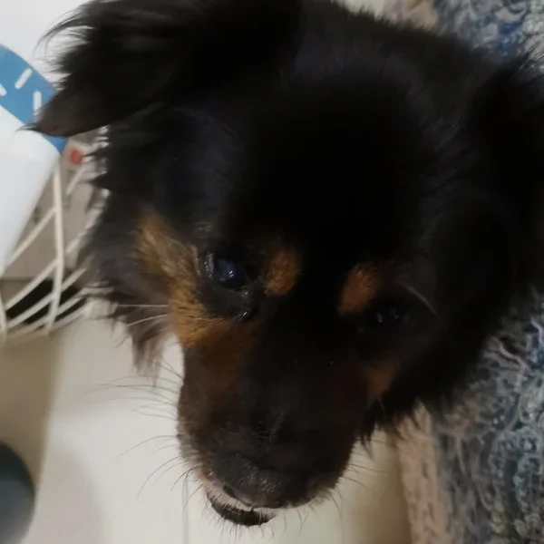 让我康康